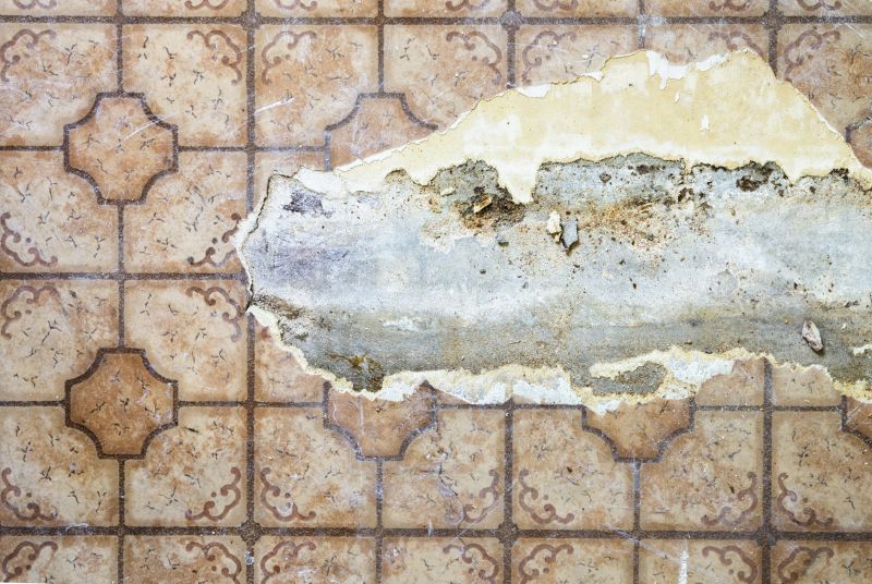 Sheet Flooring Repair in Castle Rock, CO